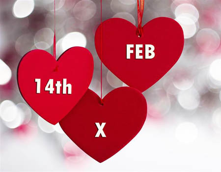 Valentines's Day Flowers